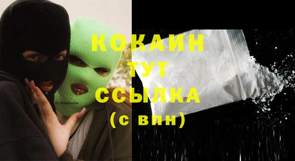 спиды Алзамай