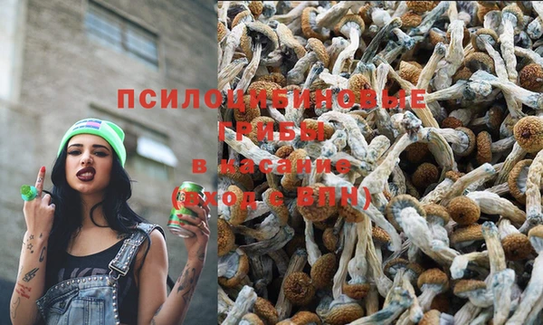 молекула духа Алексин