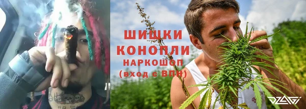 сатива Абаза