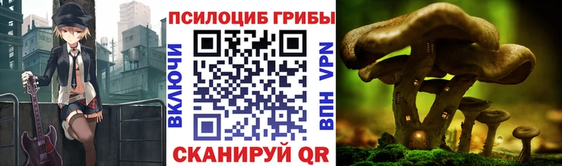 Галлюциногенные грибы MAGIC MUSHROOMS  Иннополис 