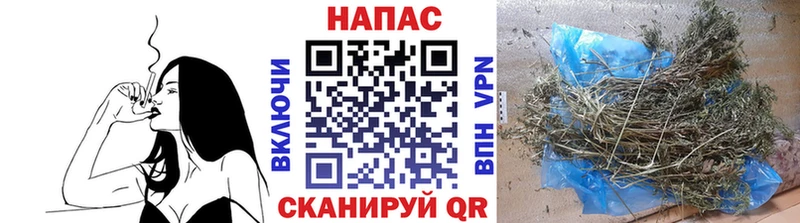магазин наркотиков Иннополис Марихуана сатива